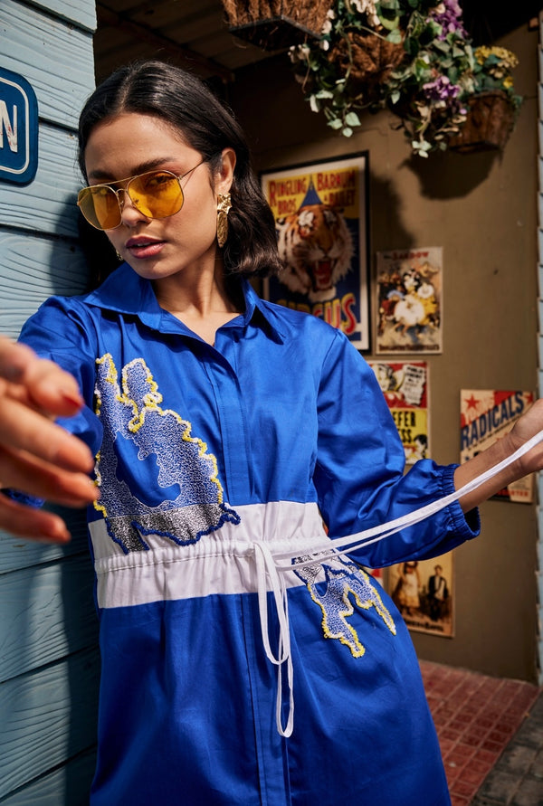 Wild Blue Shirt Dress